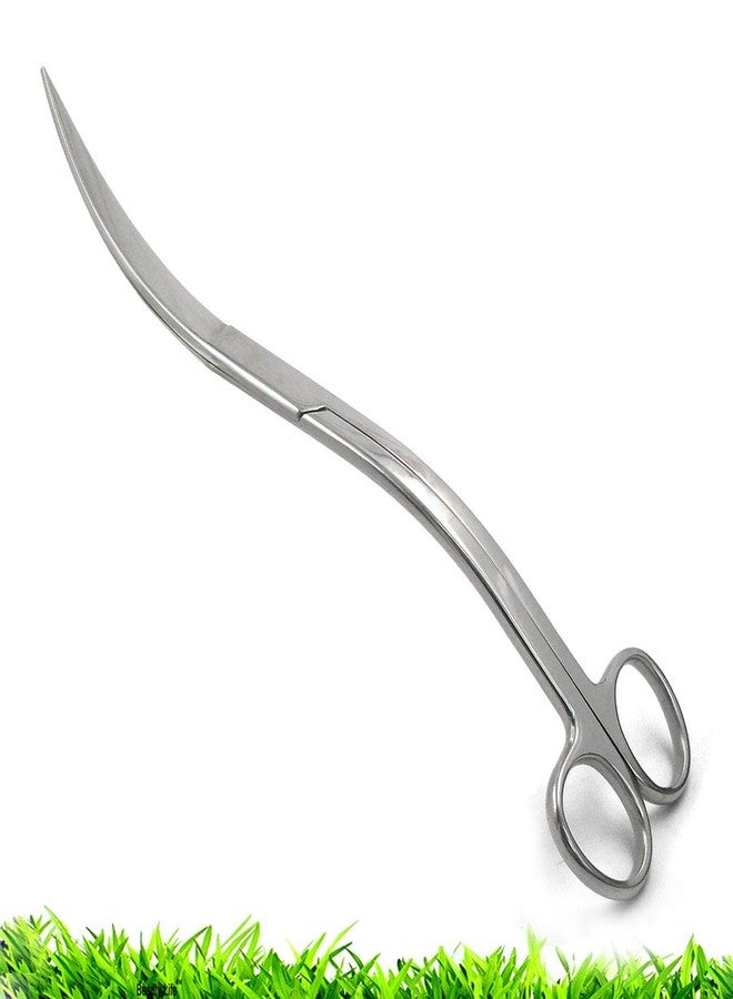 RLECS Aquarium Stainless Steel Water Grass Scissors 9.8" Sand Leveler Aquatic Plant Tongs Scissors Fish Tank Landscaping Tools - Image 5